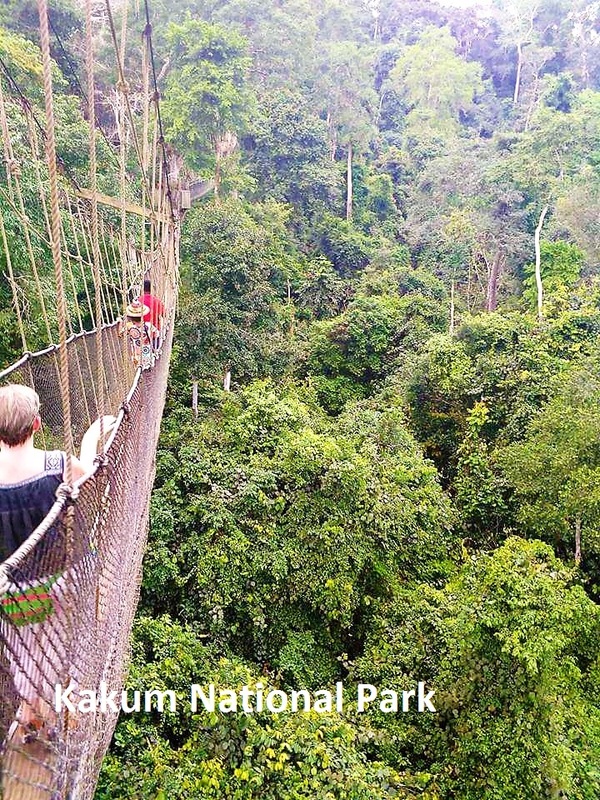 Kakum National Park, bridge right