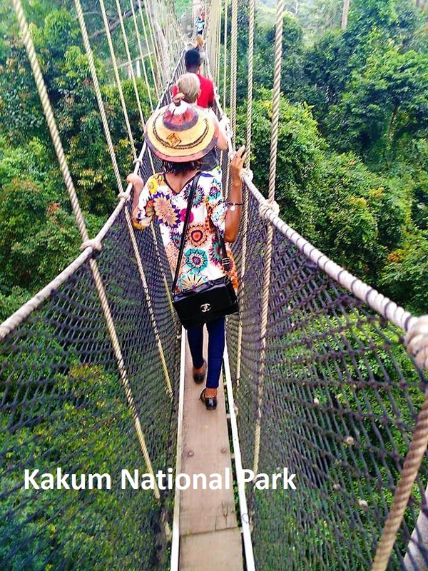 Kakum National Park, visitors on bridge middle