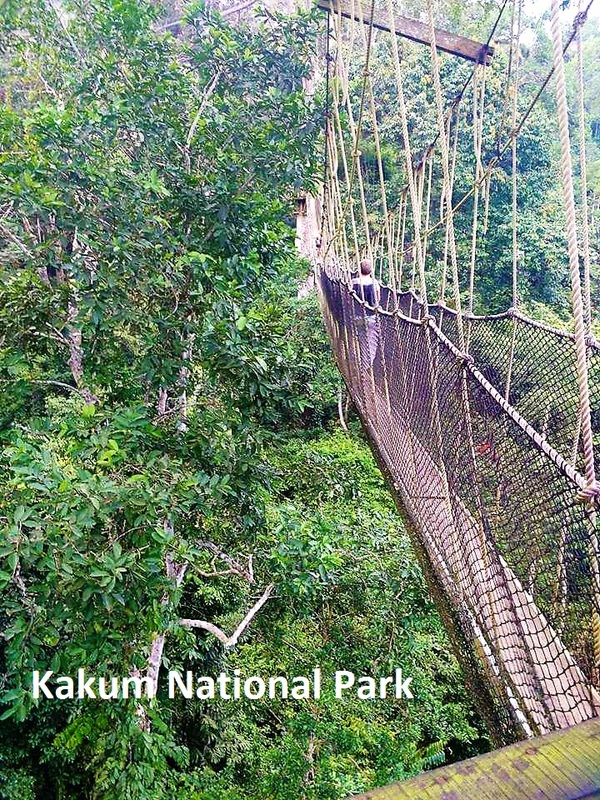 Kakum National Park, bridge left