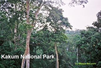 Inside Kakum National Park, Rain Forest, Ghana