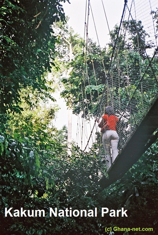 Kakum National Park - good views