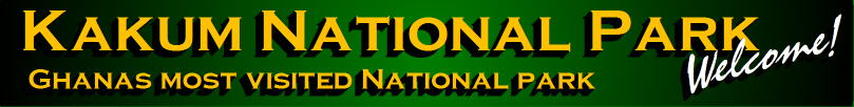 Kakum National Park, banner, header, picture