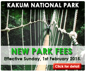 Rrates for Kakum National National Park, Ghana, Entrance Fees, Ghana Tourism, Ghana, West Africa, National Parks, Tours, 